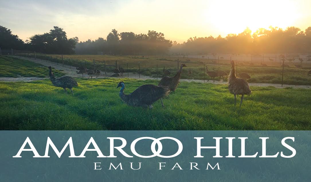 Amaroo Hills Emu Farm