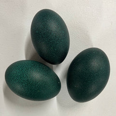 3 Emu Eggshells (Grade A)