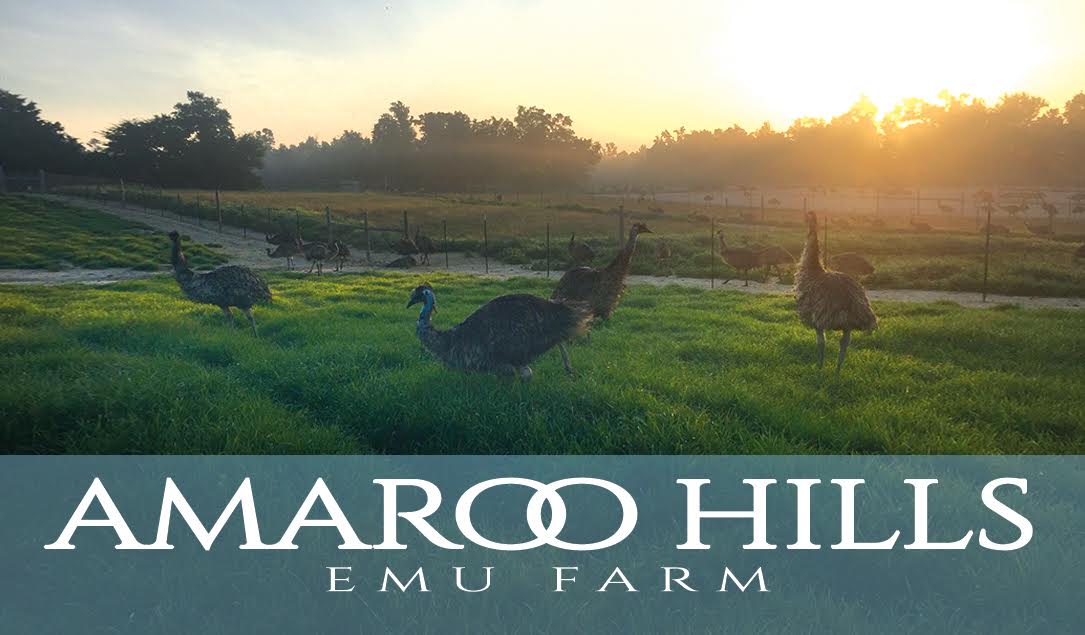 Emu Farm The Rocks Amaroo Hills Emu Farm - Maintenance