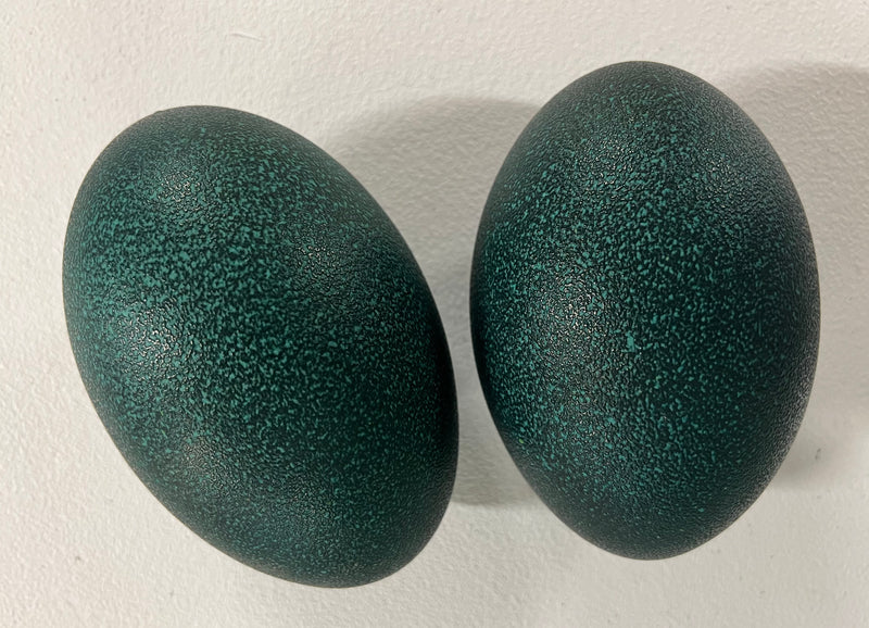 2 Emu Eggshells (Grade A)